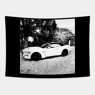 Black and White Mustang 5.0 Convertible Tapestry