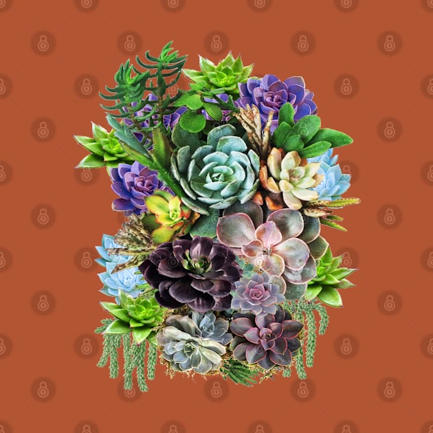 Succulents on show by Just Kidding by Nadine May