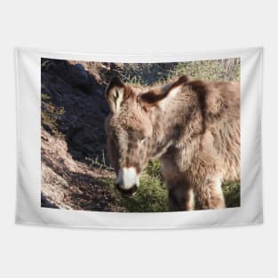Wild burros, donkeys, wildlife, gifts, Cuddly Babe Tapestry