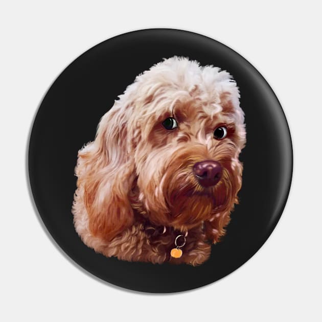 Cute Cavapoo Cavoodle puppy dog side eye Face  - cavalier king charles spaniel poodle, puppy love Pin by Artonmytee