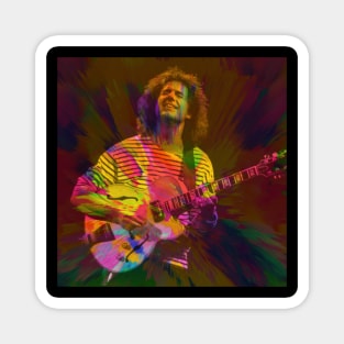 Pat Metheny Magnet