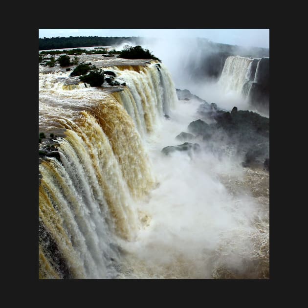 Devil's Throat at Iguassu Falls, Brazil & Argentina. by Carole-Anne