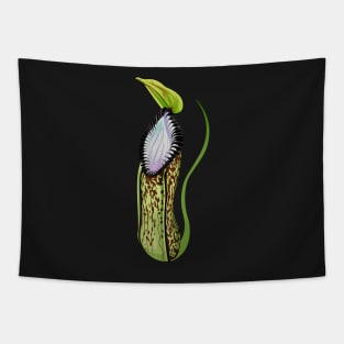 Botany Carnivorous Plant Pitcher Plant Nepenthes Hamata Tapestry