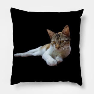 cute cate Pillow