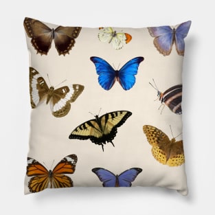 Butterfly pack Pillow