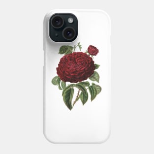 Red Rose Flower Botanical Illustration Phone Case