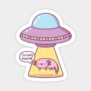 UFO Abduction, Axolotl Going Home Funny Magnet