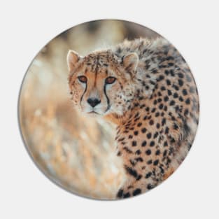 Safari Cheetah Pin