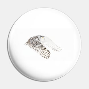 Wings Out - Snowy Owl Pin