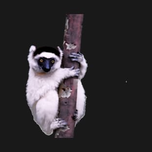 Cute Sifaka Lemur monkey clinging to a tree T-Shirt