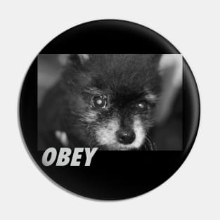 Obey Pin