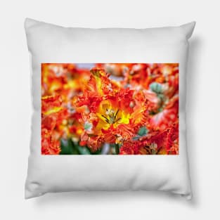 Close up of orange tulip Pillow