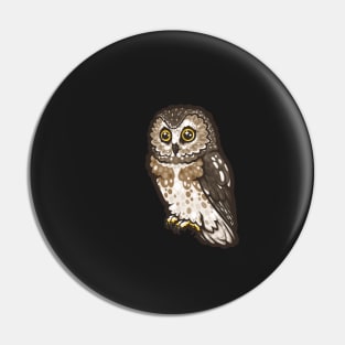 Northern Saw-Whet Owl Pin