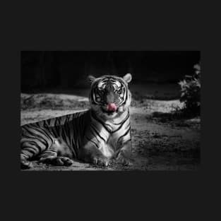 tiger, black and white T-Shirt