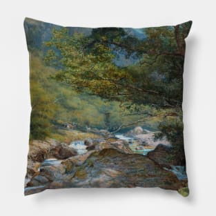 On the East Lyn, North Devon by William Henry Millais Pillow