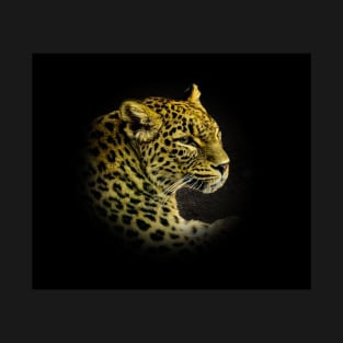 Leopard portrait T-Shirt