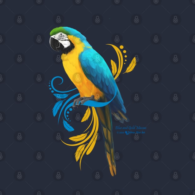 Blue and Gold Macaw by Sylvanmistart