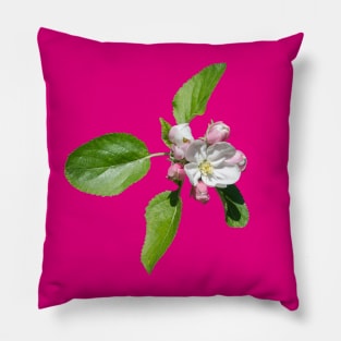 Apple blossom Pillow