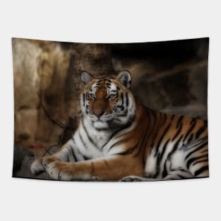 tiger, cats Tapestry