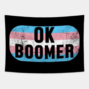 OK Boomer - Gen Z Transgender Pride Flag Tapestry