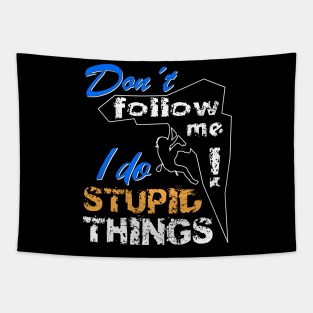 Dont Follow Me - I Do Stupid Things Tapestry