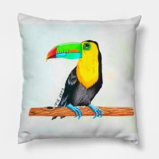 Toucan Pillow