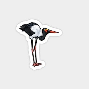 Saddle-Billed Stork Magnet