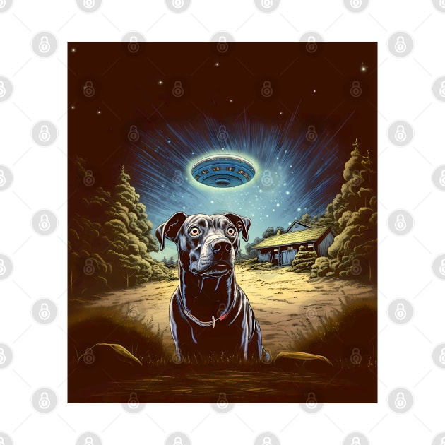 UFOs 2: My Dog Thinks UFOs Are Real by Puff Sumo