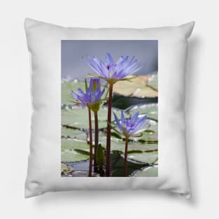 Electric Lilies Pillow