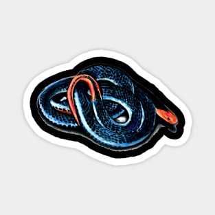 Blue coral snake Magnet