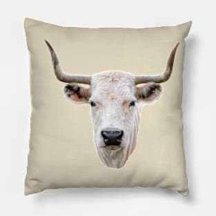 Striking head of a White Park Cow Pillow