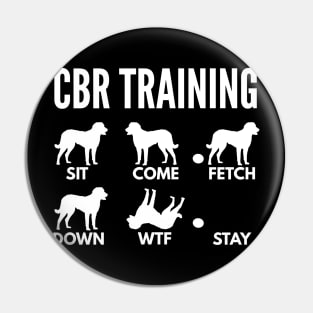 CBR Training Chesapeake Bay Retriever Tricks Pin