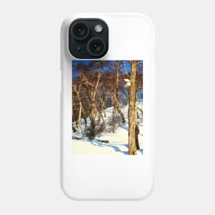 A Birds' House on Nikolskaya Hill, Petropavlovsk, Kamchatka, Russia. Phone Case