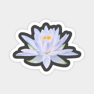 My Ghost - waterlily Magnet