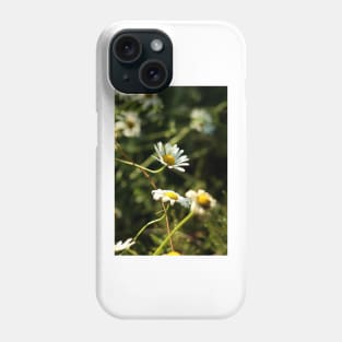 Chamomile Phone Case