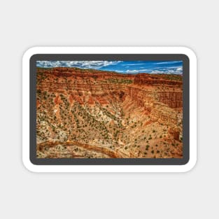 Capitol Reef National Park Magnet