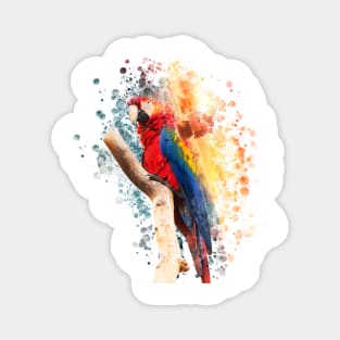 Macaw Painting Magnet