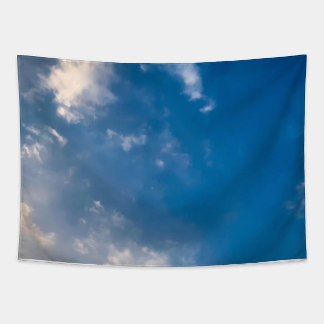 Blue sky texture background Tapestry by FOGSJ