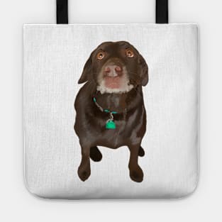 Chocolate Labrador Dog Tote