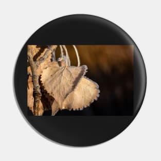 Frosted Leaf Clinging to a Branch Pin