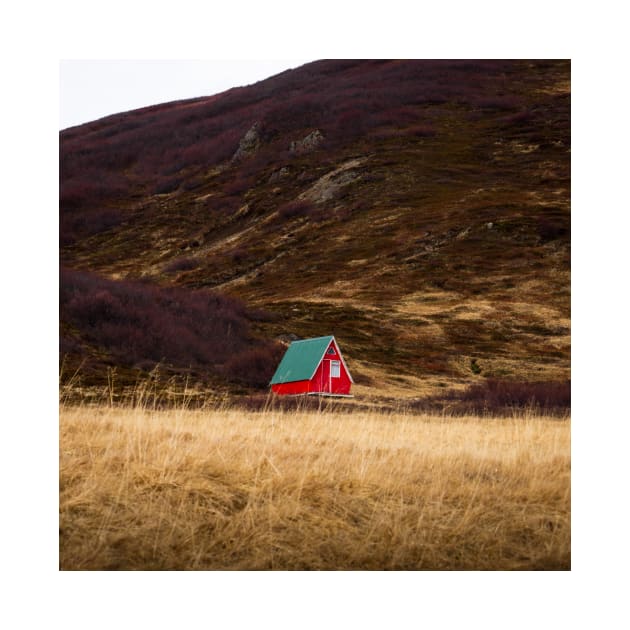 Bright Red Cabin in North Iceland by Danny Wanders