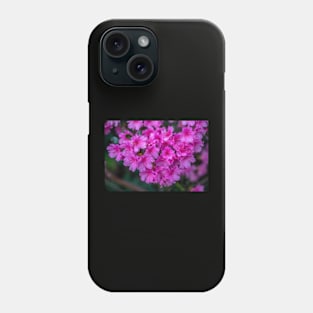 Beauty of Spring Phone Case