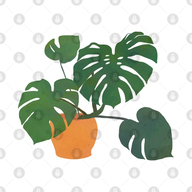 monstera interior plant blonde by eveline