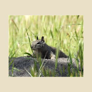 Ground squirrel, squirrels, animals, wildlife, gifts T-Shirt