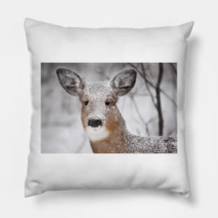 I hate snow! - White-tailed Deer Pillow