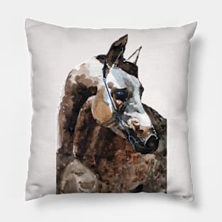 Arab horse Pillow