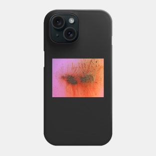 Rusty Eyelashes Phone Case