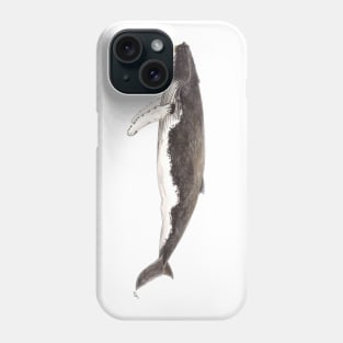 Humpback whale Megaptera novaeangliae Phone Case