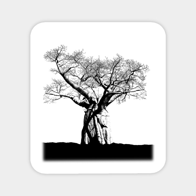 Baobab Magnet by designseventy