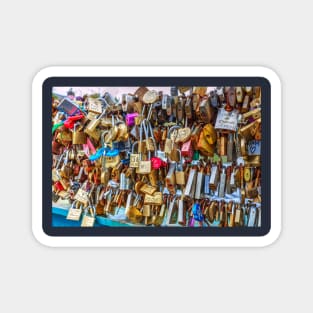 Padlocks On lovelock Bridge, Bakewell, England Magnet